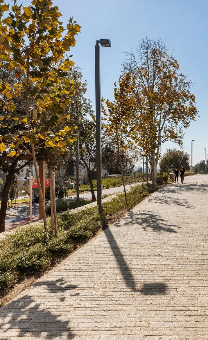 Tree-lined walking path along Wolfson Boulevard